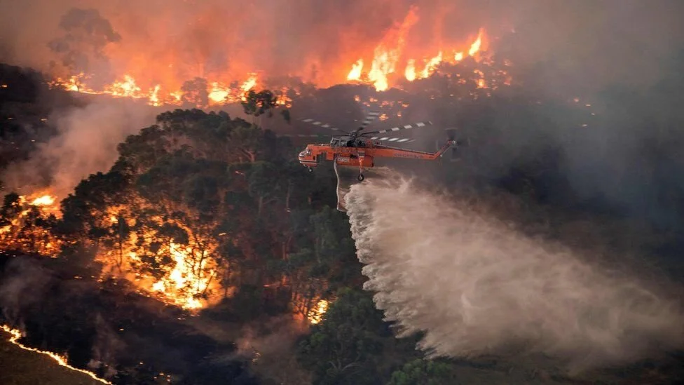 A photo from the state government in Victoria shows a helicopter fighting a bushfire near Bairnsdale in East Gippsland. Retrieved from: https://www.bbc.com/news/in-pictures-50971879