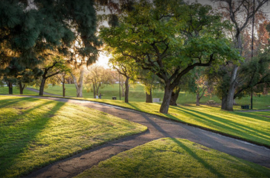  Image: City of Adelaide 